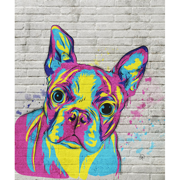 Boston Terrier Graffiti Alpha