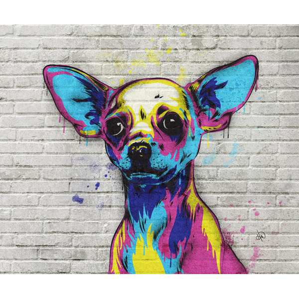 Chihuahua Graffiti Alpha