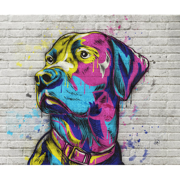 Labrador Graffiti Alpha