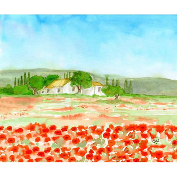 Poppies In Tuscany Alpha