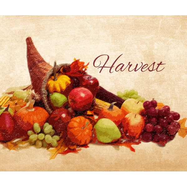 Cornucopia Harvest - Paper