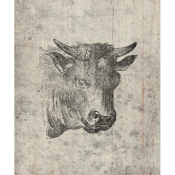 Cow Drawing - Wood