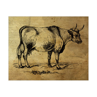 Bull Ink Drawing - Paper