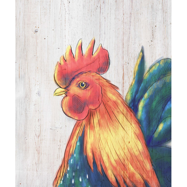 Rooster Drawing - Wood