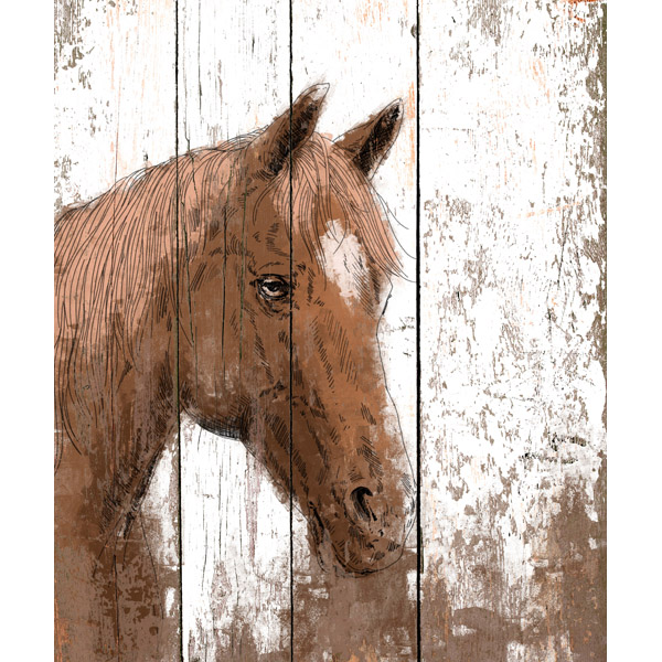 Horse Portrait on Wood
