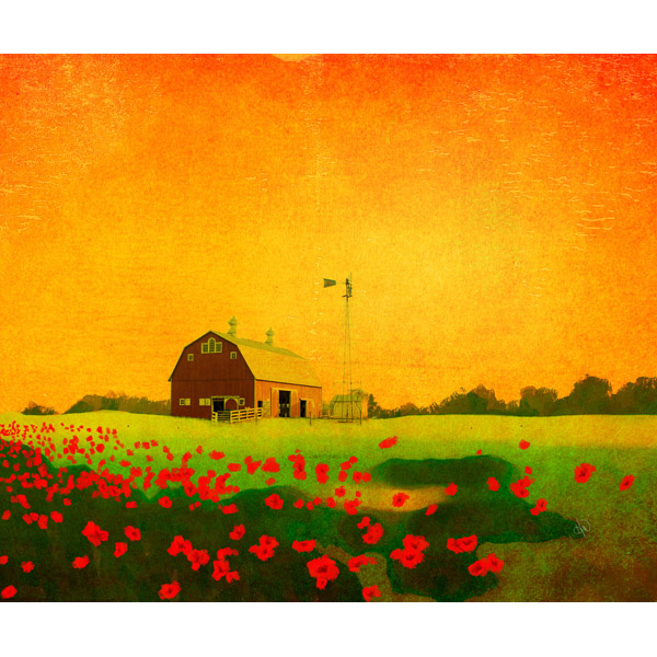 Farm - Sunset