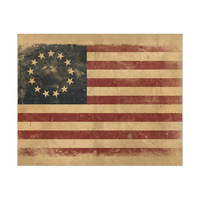 13 United States Flag
