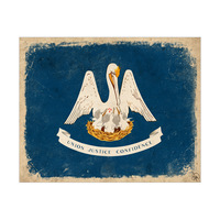 Flag of Kentucky - Paper