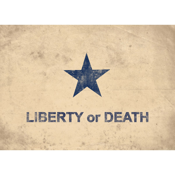 Troutman Goliad Flag - Distressed