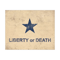 Troutman Goliad Flag - Distressed