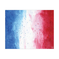 France Splatter Flag