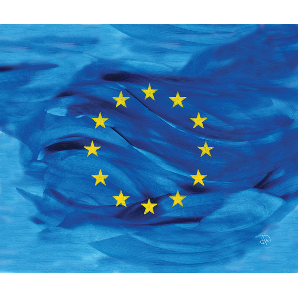 European Union Flag