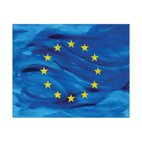 European Union Flag