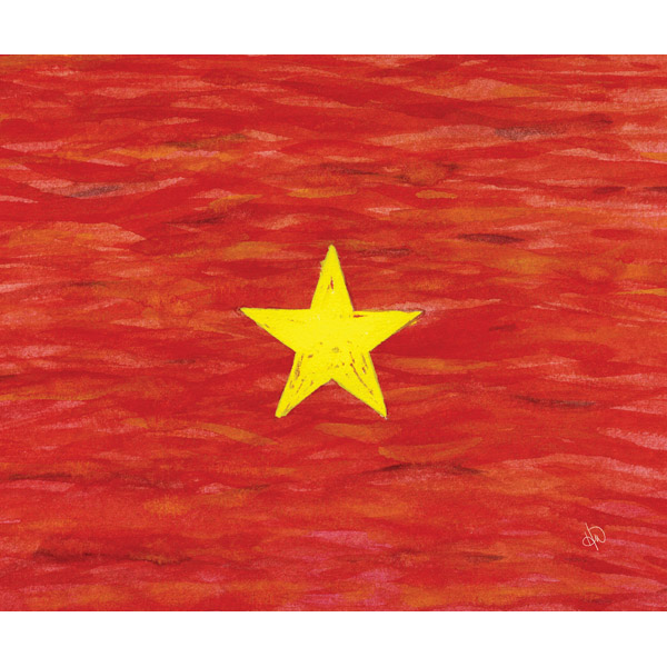 Vietnam National Flag