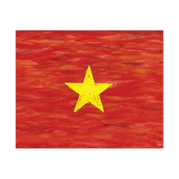 Vietnam National Flag