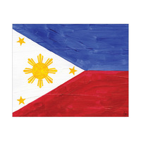 Philippines National Flag