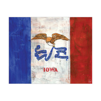 Iowa State Flag