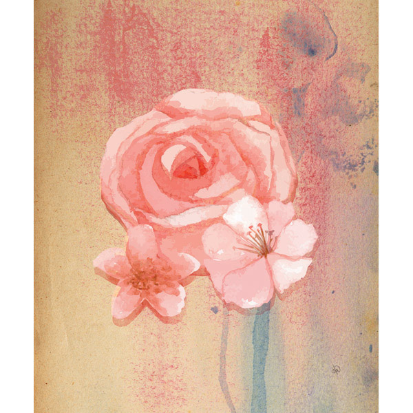 Pink Water Rose