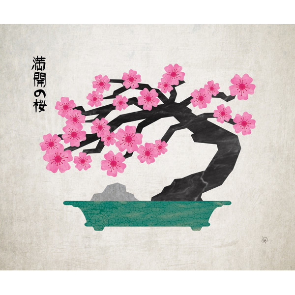 Bonsai Sakura Tree - Tan