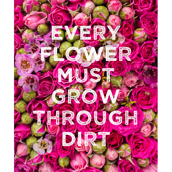 Grow Through Dirt
