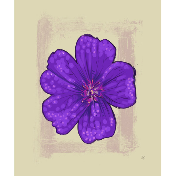 Violet Wildflower on Tan