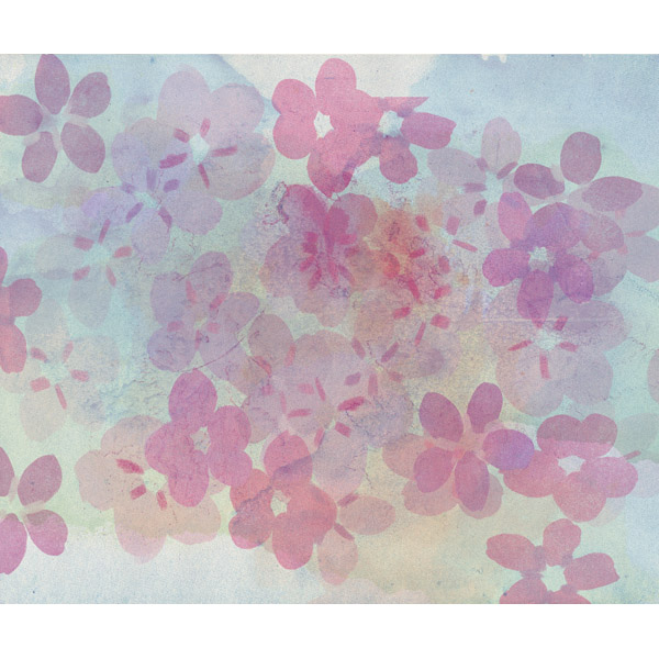 Blushing Blossom Pattern