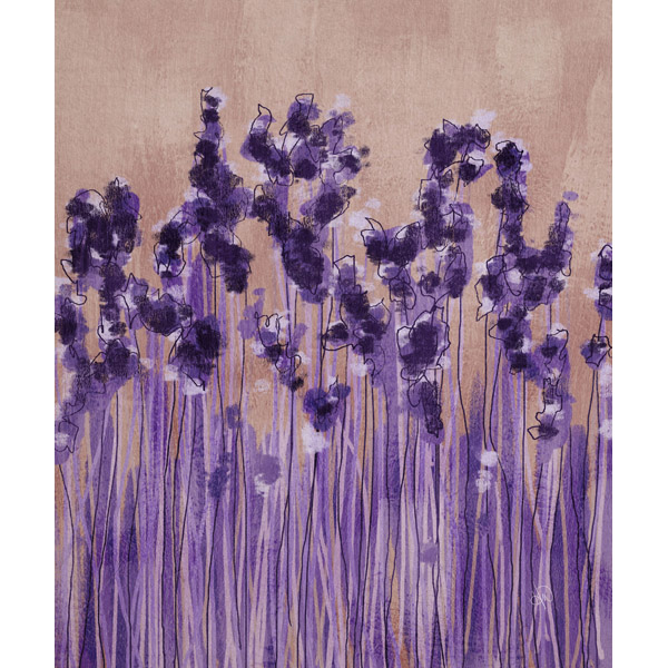 Lavender Blossoms