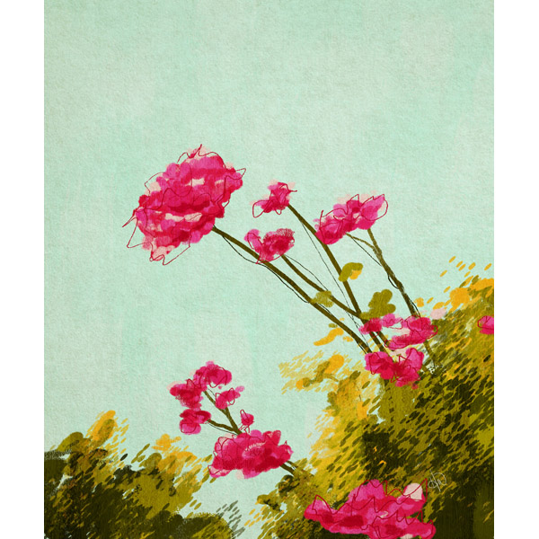 Spring Carnations