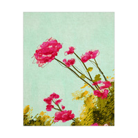 Spring Carnations