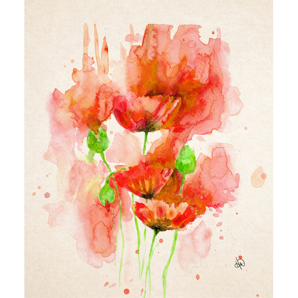 Red Poppies Alpha