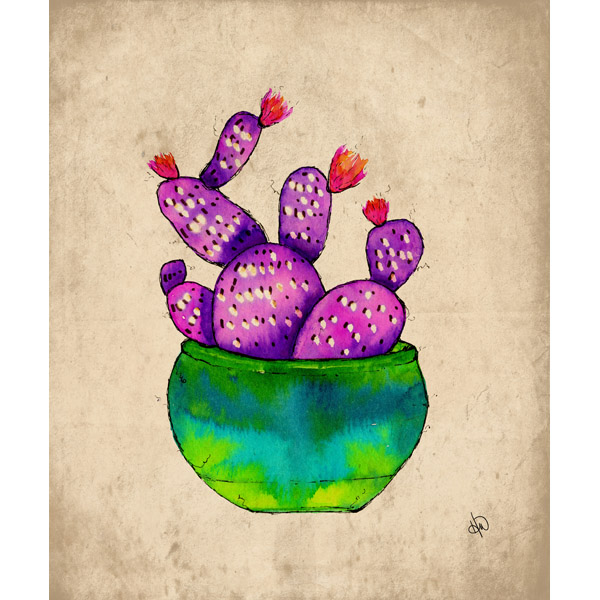 Pleasant Cactus Alpha