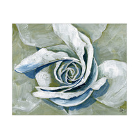 Unfolding White Rose Alpha