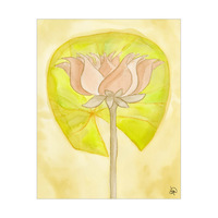 Lotus Flower And Lily Pad Alpha