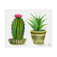 Cactus Couple