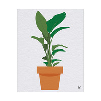 Big Potted Plant
