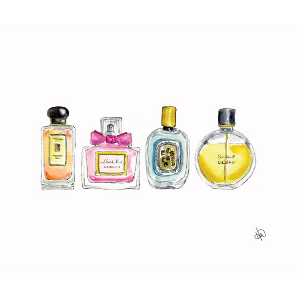 First Perfume Collection Alpha