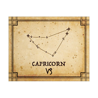 Vintage Capricorn Constellation