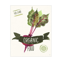 Organic Food Beet Green