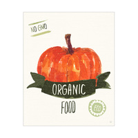 Organic Food Pumpkin Green