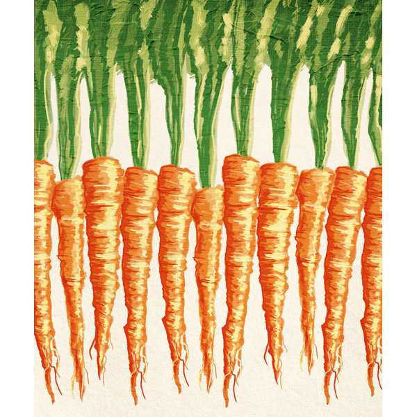 Row of Carrots