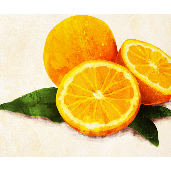 Painted Oranges