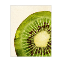 Painted Kiwi Slice