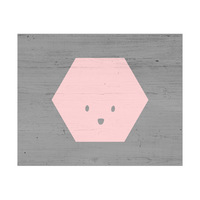 Awe the Pink Hexagon