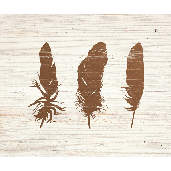 Feathers on Wood Sienna