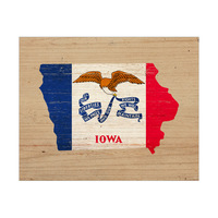 State Flag IA  - Wood