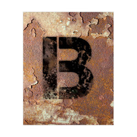 Letter B Rusty Wall
