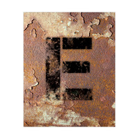 Letter E Rusty Wall