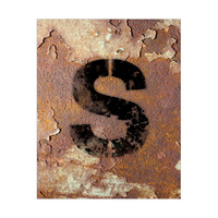 Letter S Rusty Wall