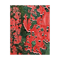 Flaking Wall Red