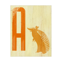 A for Armadillo